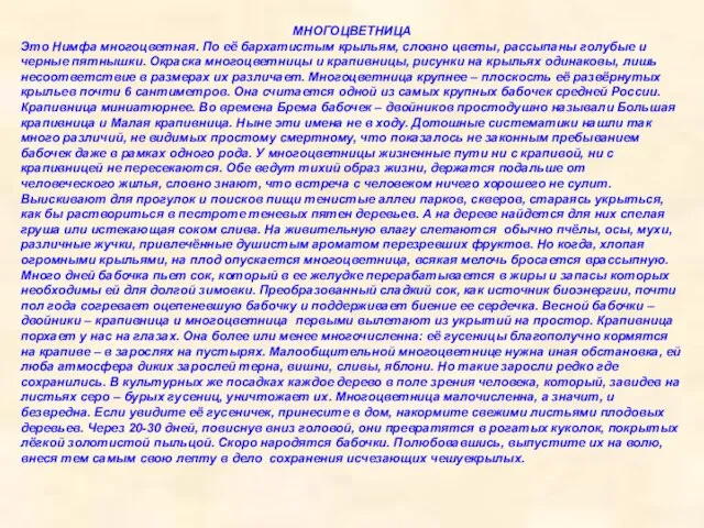 МНОГОЦВЕТНИЦА Это Нимфа многоцветная. По её бархатистым крыльям, словно цветы, рассыпаны голубые