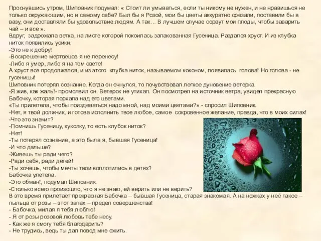 Проснувшись утром, Шиповник подумал: « Стоит ли умываться, если ты никому не