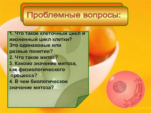 1. Что такое клеточный цикл и жизненный цикл клетки? Это одинаковые или