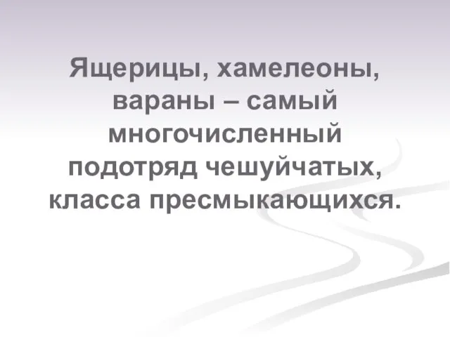 Ящерицы, хамелеоны, вараны – самый многочисленный подотряд чешуйчатых, класса пресмыкающихся.