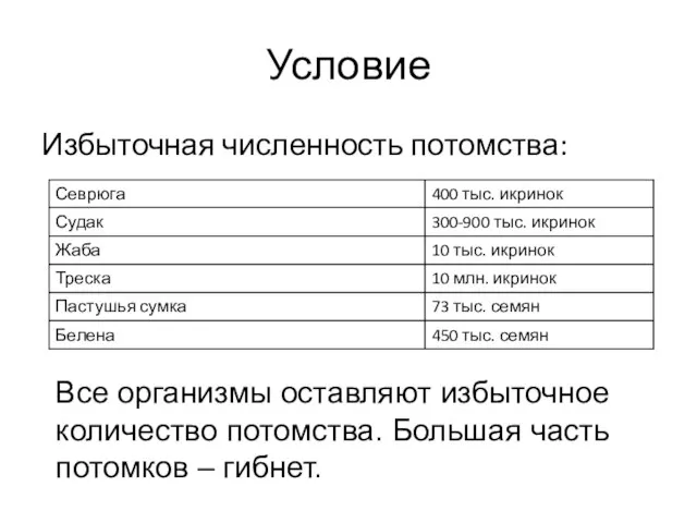 Условие Избыточная численность потомства: Все организмы оставляют избыточное количество потомства. Большая часть потомков – гибнет.