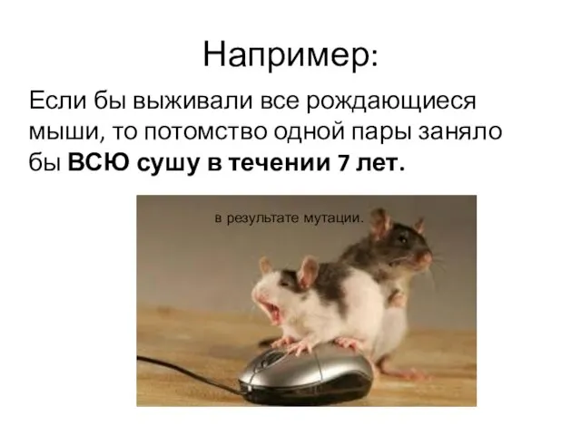Например: Если бы выживали все рождающиеся мыши, то потомство одной пары заняло