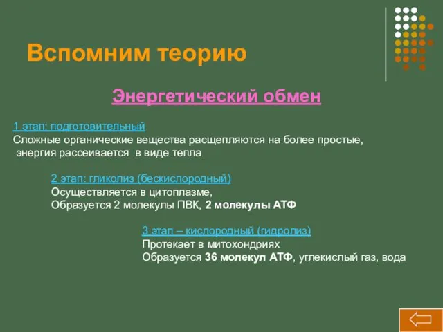 Вспомним теорию Энергетический обмен 1 этап: подготовительный Сложные органические вещества расщепляются на