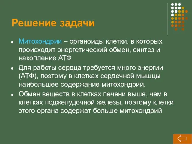 Решение задачи Митохондрии – органоиды клетки, в которых происходит энергетический обмен, синтез