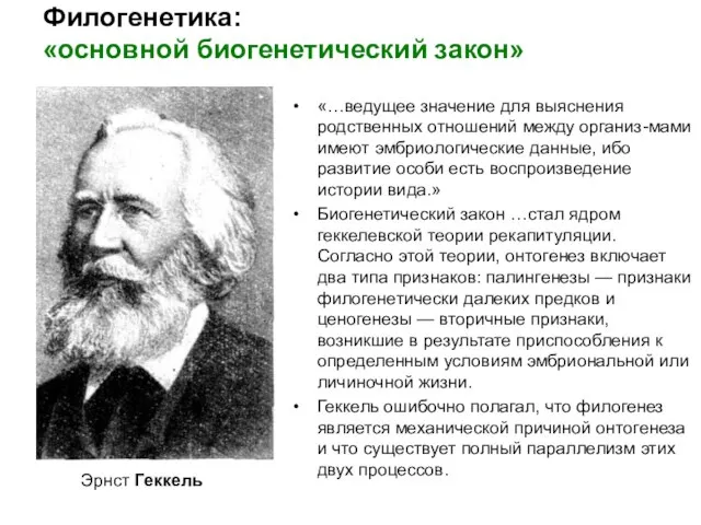 Филогенетика: «основной биогенетический закон» Эрнст Геккель «…ведущее значение для выяснения родственных отношений