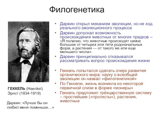 Филогенетика Дарвин открыл механизм эволюции, но не ход реального эволюционного процесса Дарвин