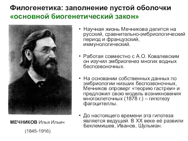 Научная жизнь Мечникова делится на русский, сравнительно-эмбриологический период и французский, иммунологический. Работая