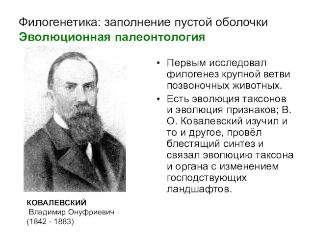 Филогенетика: заполнение пустой оболочки Эволюционная палеонтология Первым исследовал филогенез крупной ветви позвоночных