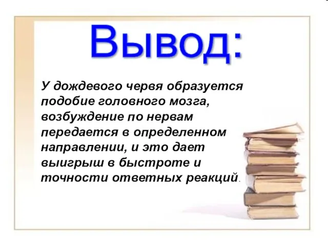 У дождевого червя образуется подобие головного мозга, возбуждение по нервам передается в