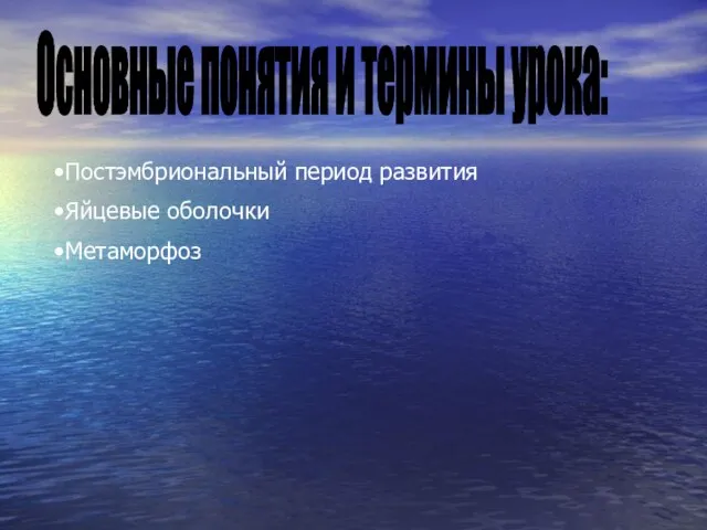 Основные понятия и термины урока: Постэмбриональный период развития Яйцевые оболочки Метаморфоз