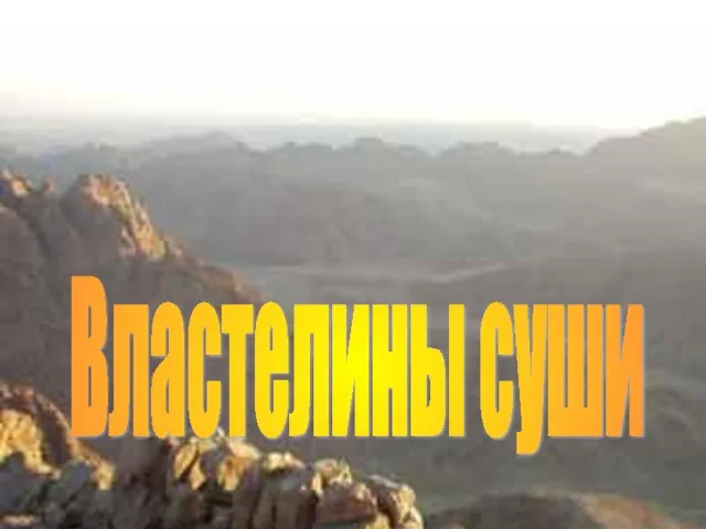 Властелины суши