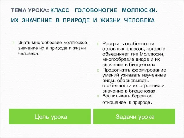 Цель урока Знать многообразие моллюсков, значение их в природе и жизни человека.