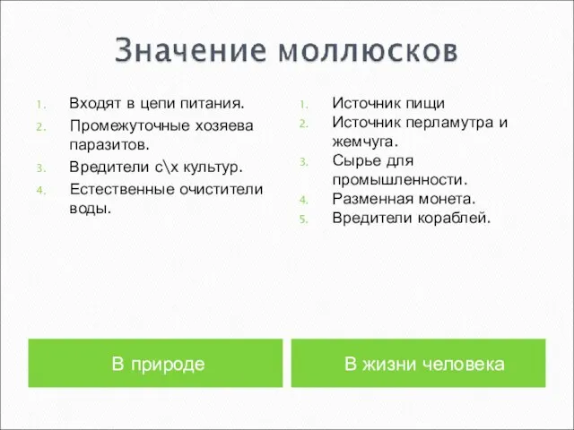 В природе В жизни человека Входят в цепи питания. Промежуточные хозяева паразитов.