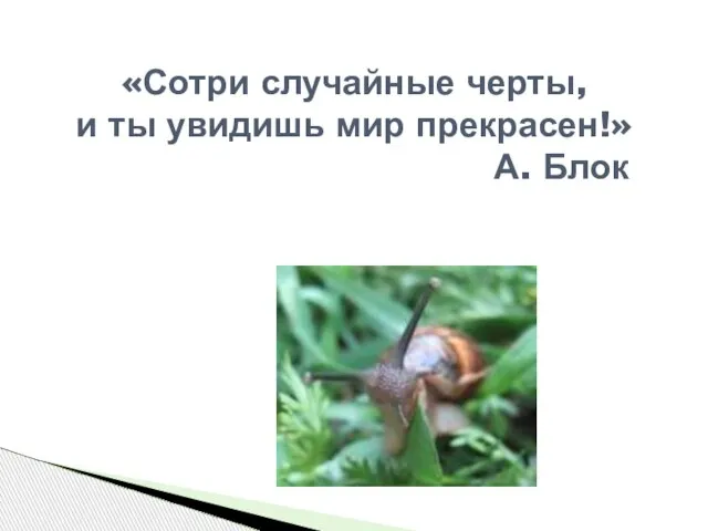 «Сотри случайные черты, и ты увидишь мир прекрасен!» А. Блок