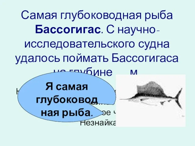 Самая глубоководная рыба Бассогигас. С научно-исследовательского судна удалось поймать Бассогигаса на глубине