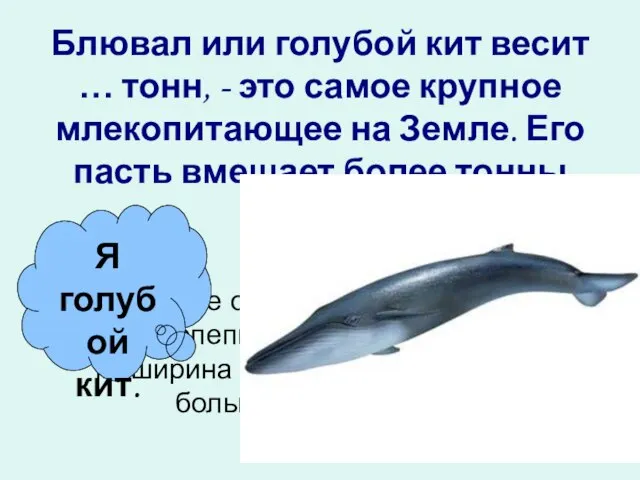 Блювал или голубой кит весит … тонн, - это самое крупное млекопитающее