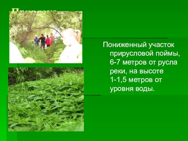 Привязка. Пониженный участок прирусловой поймы, 6-7 метров от русла реки, на высоте