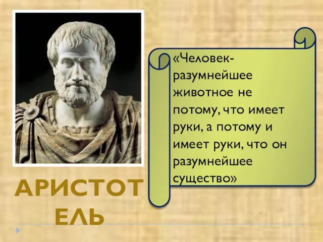 АРИСТОТЕЛЬ «Человек- разумнейшее животное не потому, что имеет руки, а потому и