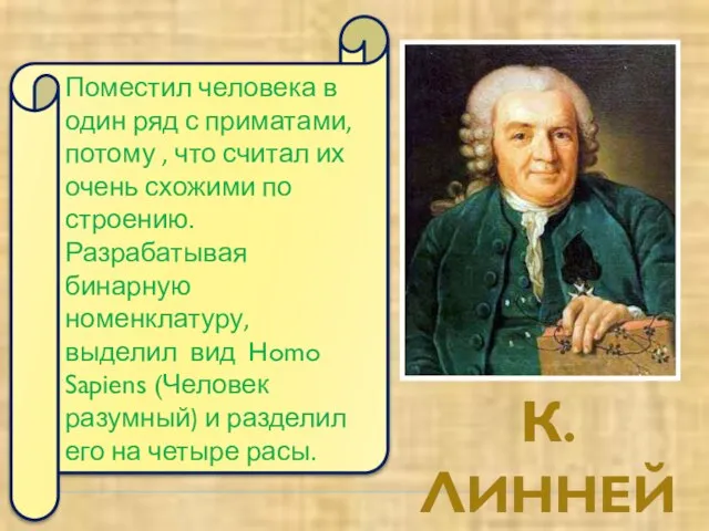 К.ЛИННЕЙ Поместил человека в один ряд с приматами, потому , что считал