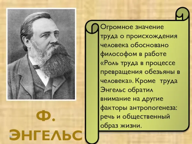 Ф. ЭНГЕЛЬС Огромное значение труда о происхождения человека обосновано философом в работе