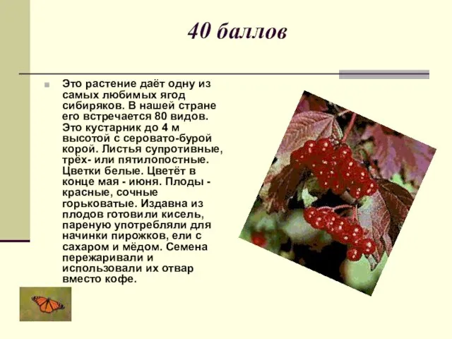 40 баллов Это растение даёт одну из самых любимых ягод сибиряков. В