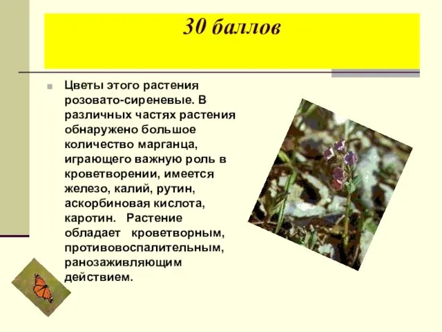 30 баллов Цветы этого растения розовато-сиреневые. В различных частях растения обнаружено большое