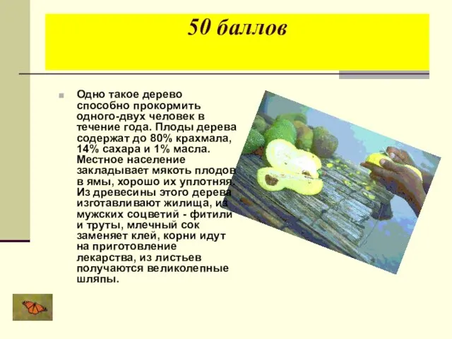 50 баллов Одно такое дерево способно прокормить одного-двух человек в течение года.