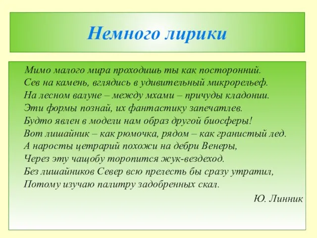 Мимо малого мира проходишь ты как посторонний. Сев на камень, вглядись в