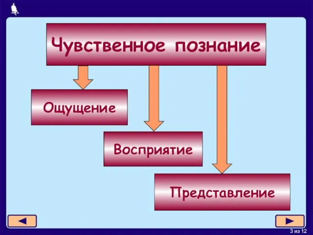 Чувственное познание