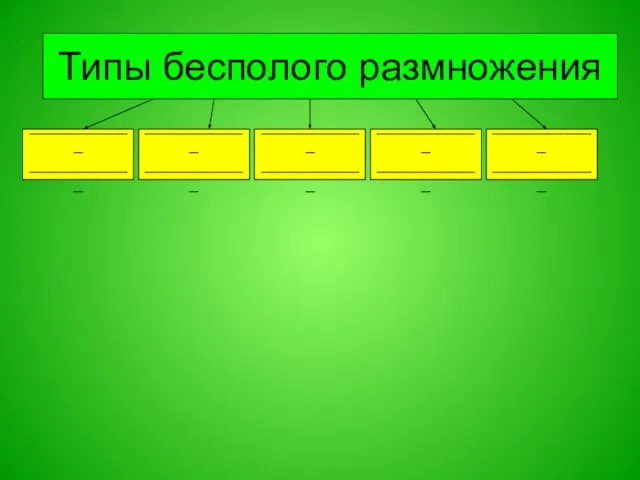 Типы бесполого размножения ____________ ____________ ____________ ____________ ____________ ____________ ____________ ____________ ____________ ____________