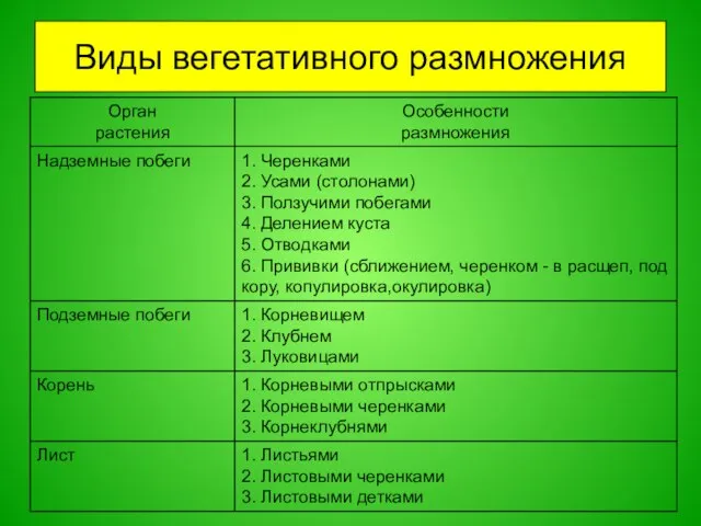 Виды вегетативного размножения