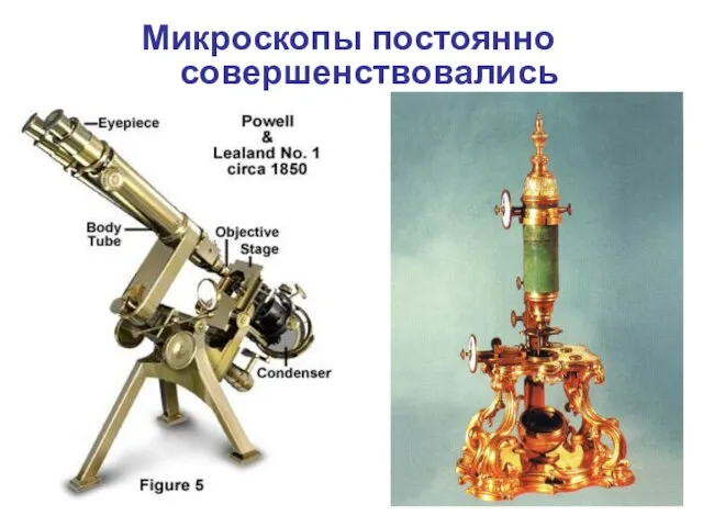 Микроскопы постоянно совершенствовались