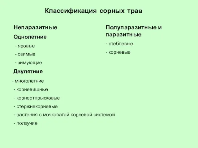 Классификация сорных трав Непаразитные Однолетние - яровые - озимые - зимующие Двулетние