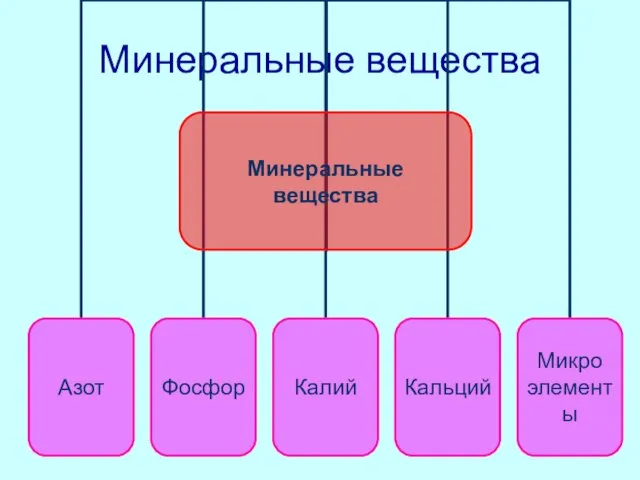 Минеральные вещества