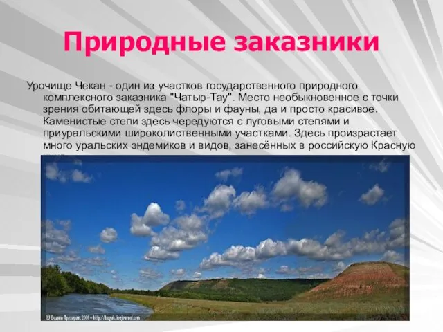 Природные заказники Урочище Чекан - один из участков государственного природного комплексного заказника