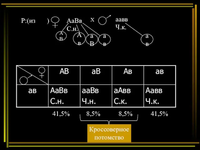 Р:(из ) АаВв С.н. Х аавв Ч.к. 41,5% 8,5% 8,5% 41,5% Кроссоверное потомство