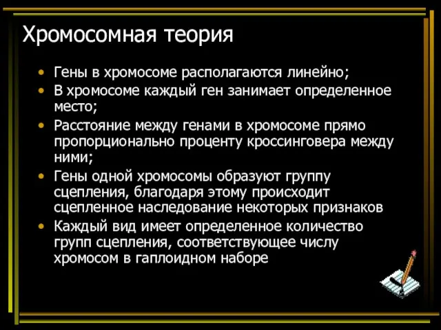 Хромосомная теория Гены в хромосоме располагаются линейно; В хромосоме каждый ген занимает