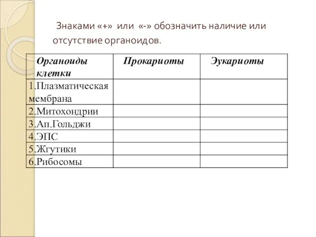 Знаками «+» или «-» обозначить наличие или отсутствие органоидов.