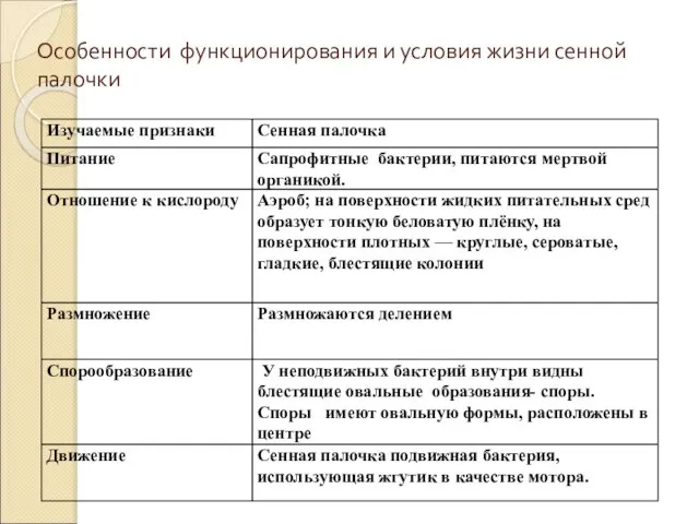 Особенности функционирования и условия жизни сенной палочки