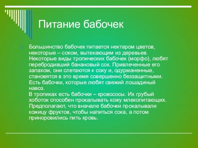 Питание бабочек Большинство бабочек питается нектаром цветов, некоторые – соком, вытекающим из