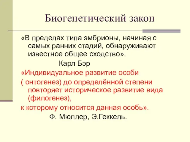 Биогенетический закон «В пределах типа эмбрионы, начиная с самых ранних стадий, обнаруживают