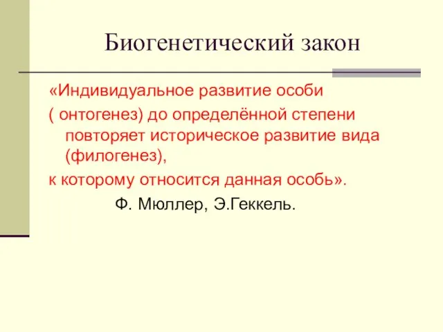 Биогенетический закон «Индивидуальное развитие особи ( онтогенез) до определённой степени повторяет историческое