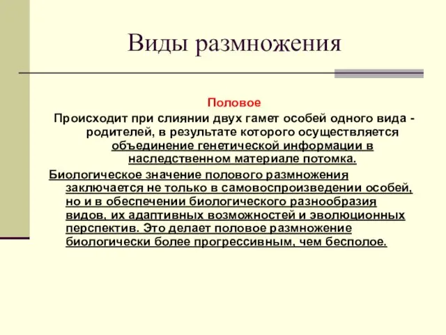 Виды размножения Половое Происходит при слиянии двух гамет особей одного вида -