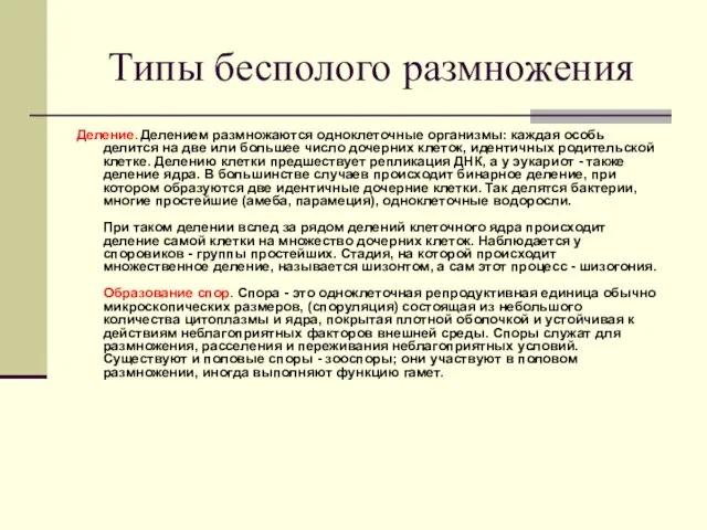 Типы бесполого размножения Деление. Делением размножаются одноклеточные организмы: каждая особь делится на