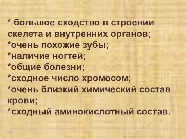 * большое сходство в строении скелета и внутренних органов; *очень похожие зубы;