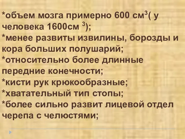 *объем мозга примерно 600 см3( у человека 1600см 3); *менее развиты извилины,