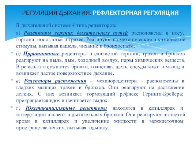 В дыхательной системе 4 типа рецепторов: а) Рецепторы верхних дыхательных путей расположены