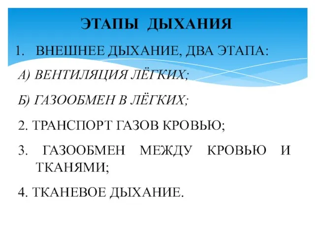 ЭТАПЫ ДЫХАНИЯ ВНЕШНЕЕ ДЫХАНИЕ, ДВА ЭТАПА: А) ВЕНТИЛЯЦИЯ ЛЁГКИХ; Б) ГАЗООБМЕН В