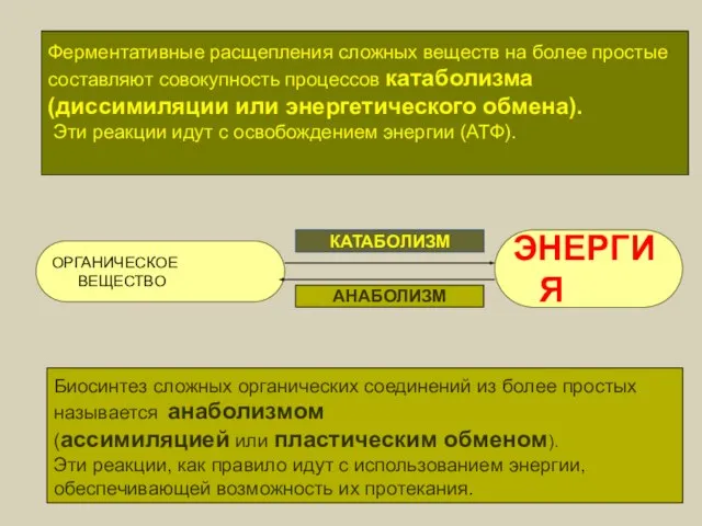 ОРГАНИЧЕСКОЕ ВЕЩЕСТВО ЭНЕРГИЯ КАТАБОЛИЗМ АНАБОЛИЗМ Ферментативные расщепления сложных веществ на более простые