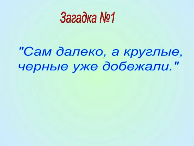 "Сам далеко, а круглые, черные уже добежали." Загадка №1